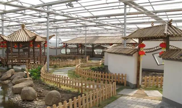 奉贤区南桥镇旅游景点,上海奉贤景点推荐一日游最佳路线