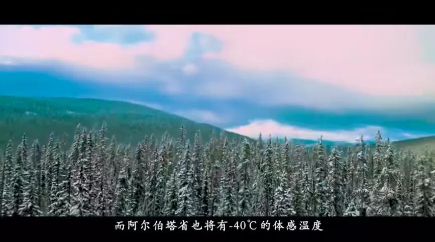 四川人李子柒视频,东北男版李子柒抖音