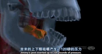 人类的1000种死法，真实版死神来了！