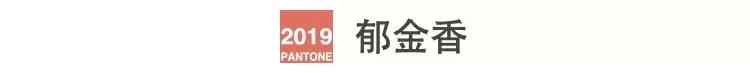 潘通流行色是怎么确定的,潘通官网2021流行色亮黄色