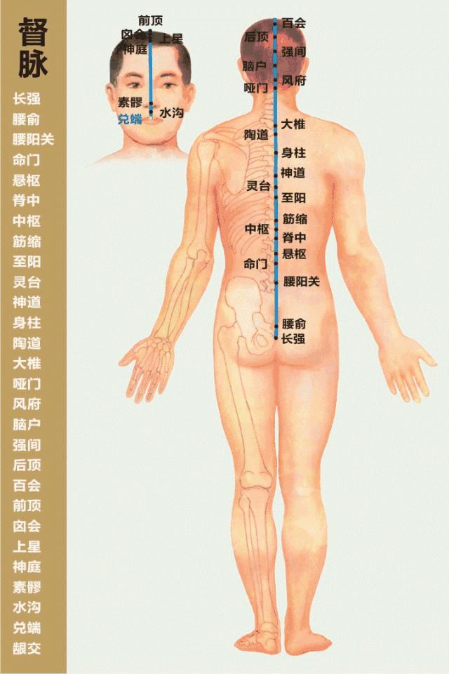 零基础学习中医按摩,零基础学中医按摩
