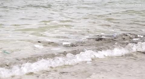 彭于晏我最需要的时候你在哪里,彭于晏我最需要他的时候他在哪里