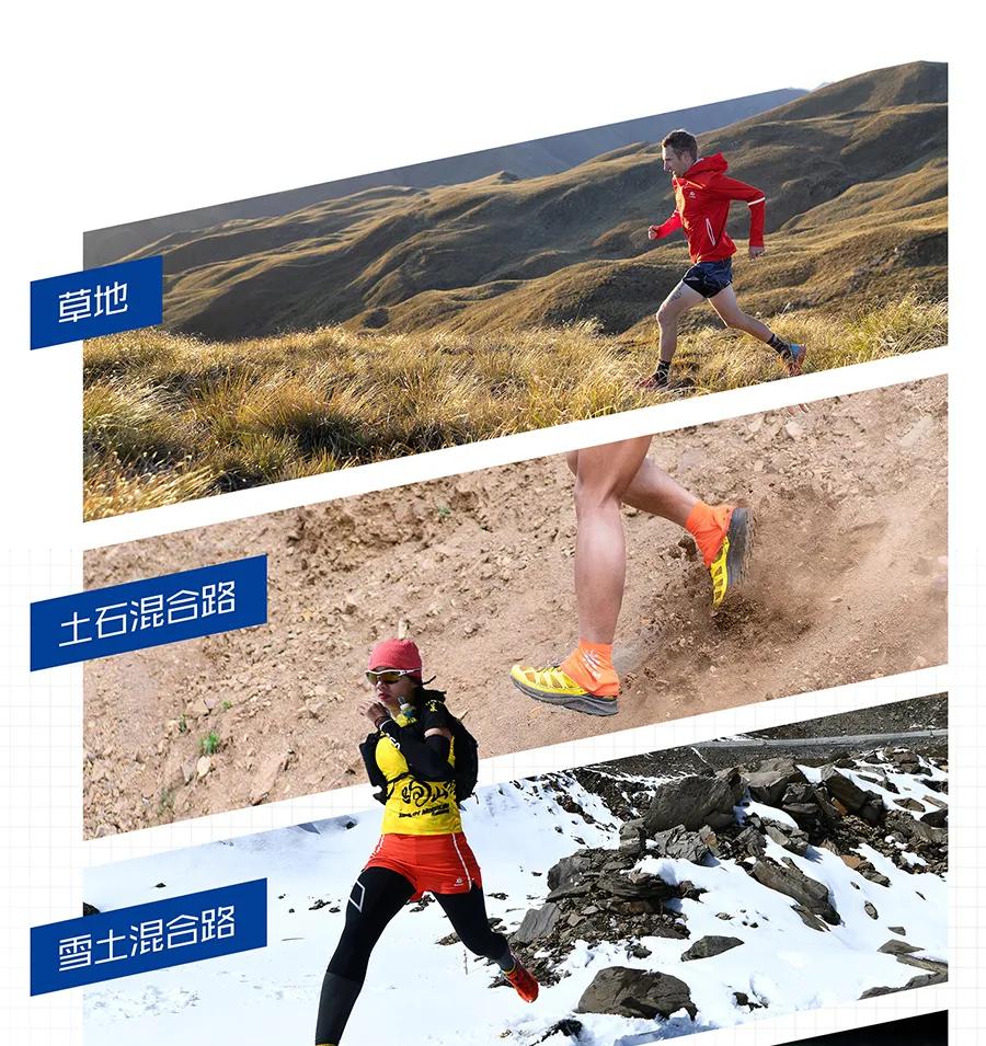 各个品牌的顶级碳板跑鞋,为什么品牌的鞋那么贵