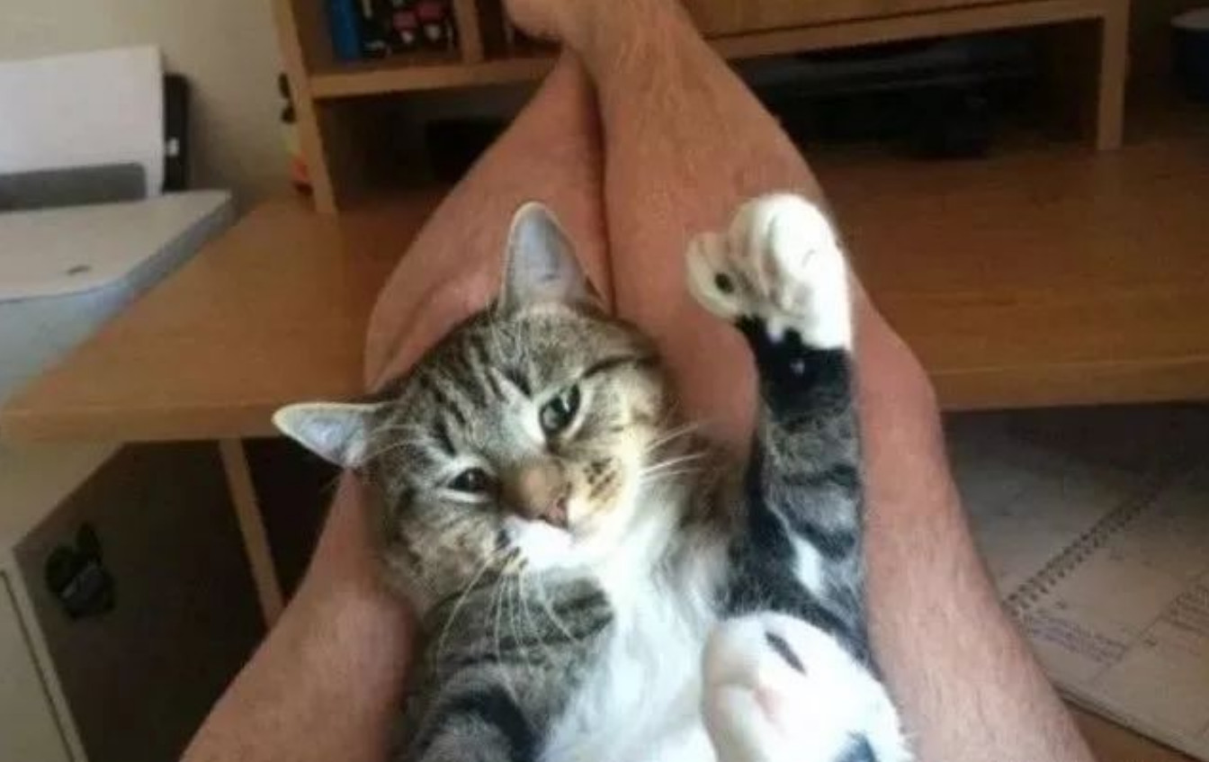 疫情中的替代性创伤,疫情替代性创伤