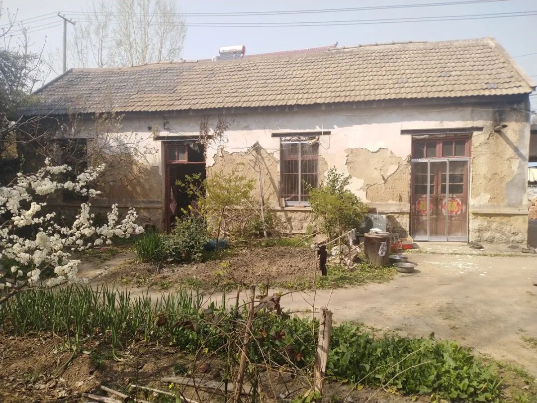 微山岛与京杭大运河,京杭大运河附近小院