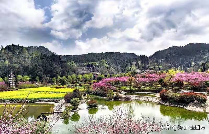遵义花海音乐节,遵义最近有什么音乐节