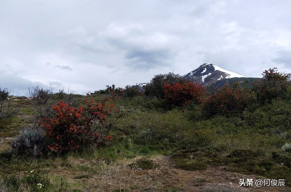 阿根廷莫雷诺大冰川最佳季节,莫雷诺冰川回埃尔卡拉法特时间