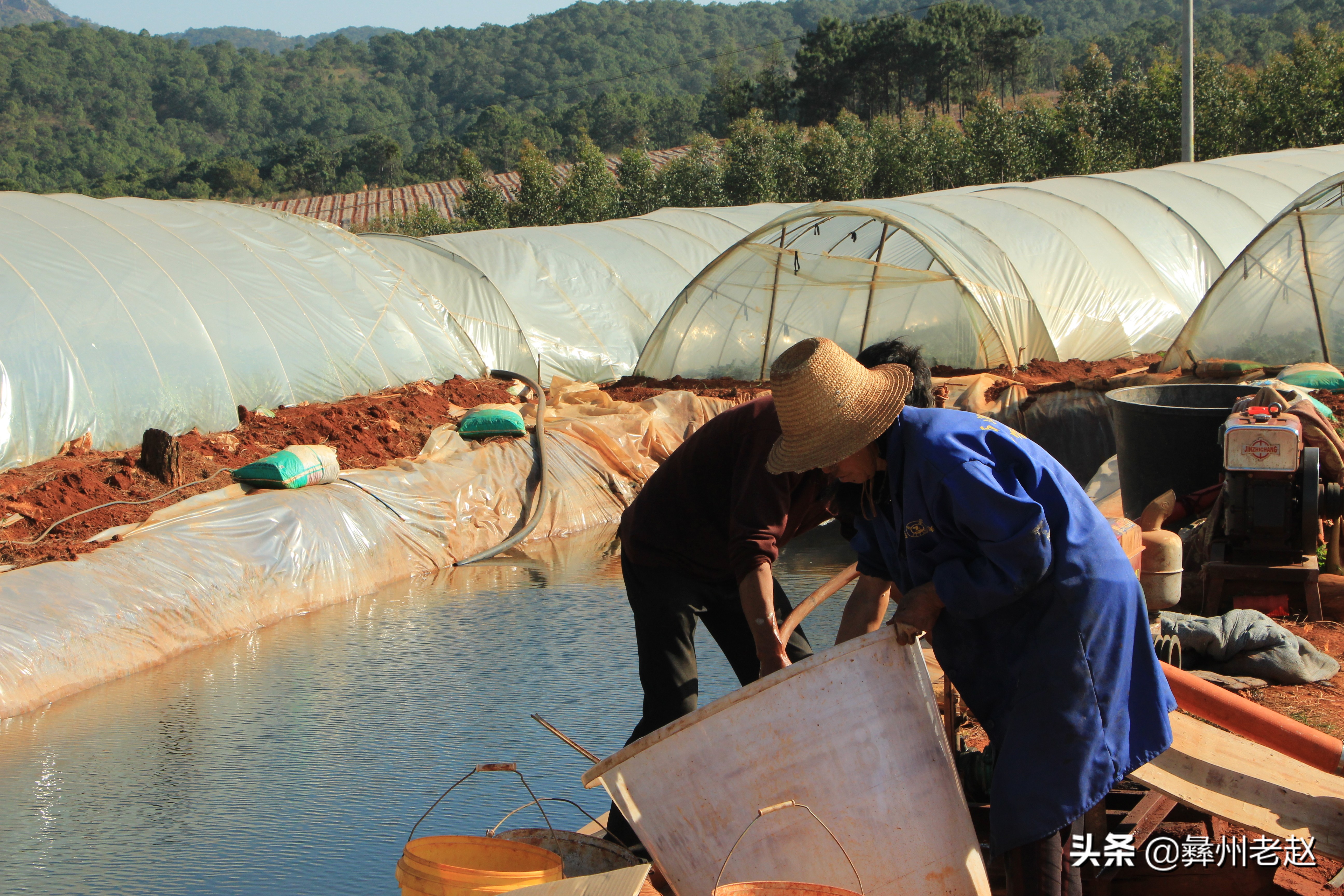 西瓜滞销的解决方法,西瓜卖不出去了怎么办