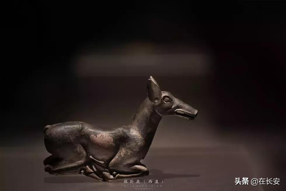 陕西历史博物馆视频高级感,陕西历史博物馆唯美视频