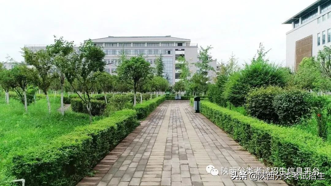 两汉三国,真美汉中|汉中职业技术学院