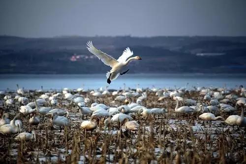 辽宁旅游景点推荐3天自由行,辽宁学生旅游景点推荐