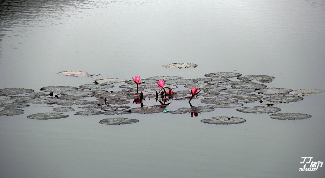 形容一个邮轮很豪华很大怎么说,不动声色可以形容美景吗
