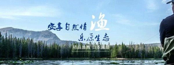 日本雅虎拍卖平台好做吗,日本雅虎拍卖入驻条件