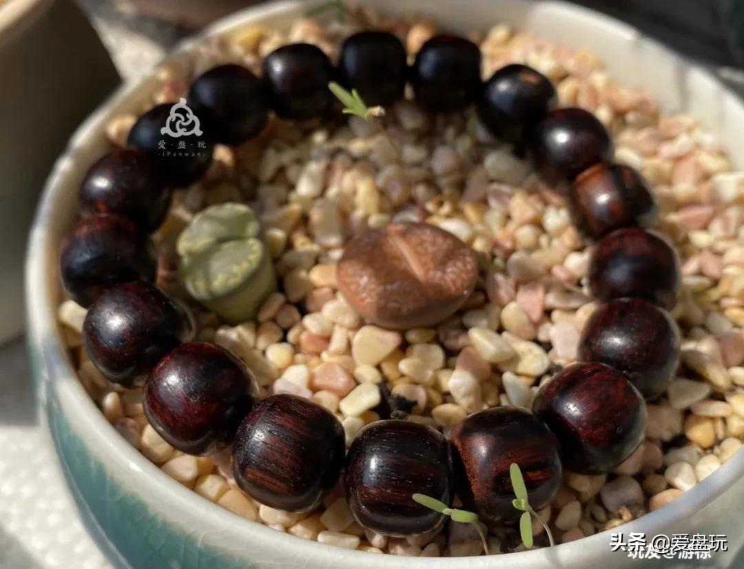 各种手串盘出包浆,快要包浆的手串怎么盘