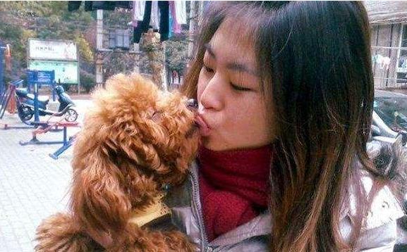 泰迪犬讨厌你的时候还会说话吗,泰迪撒娇方式