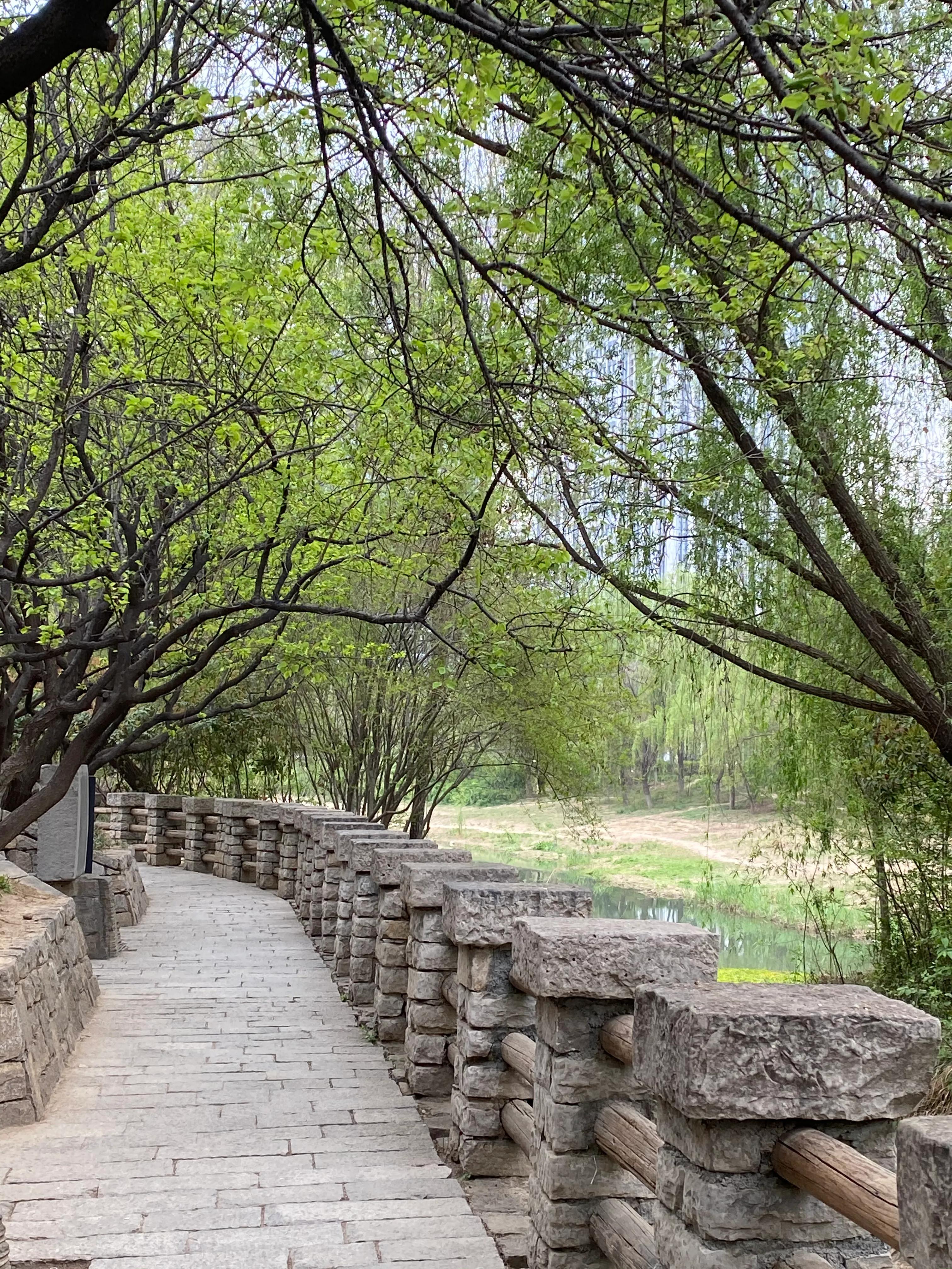 70后看待80后,70后女人发朋友圈心态