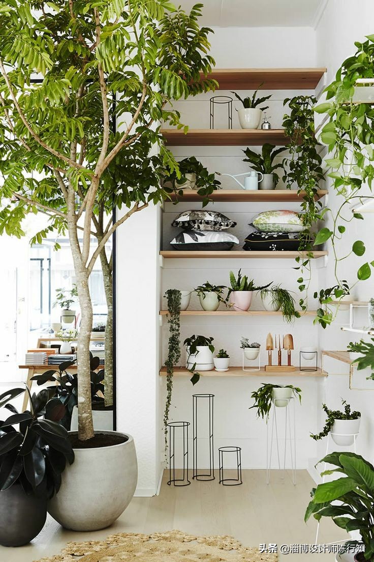 大门正对卫生间门屏风效果图,大门正对卫生间门有煞