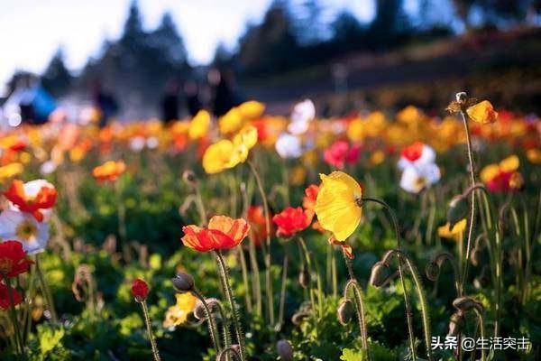 越旅之行,越游记最新视频