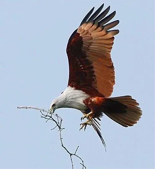 这哥们有点牛！自制“定时点火装置”，到诸城XX服装超市放火