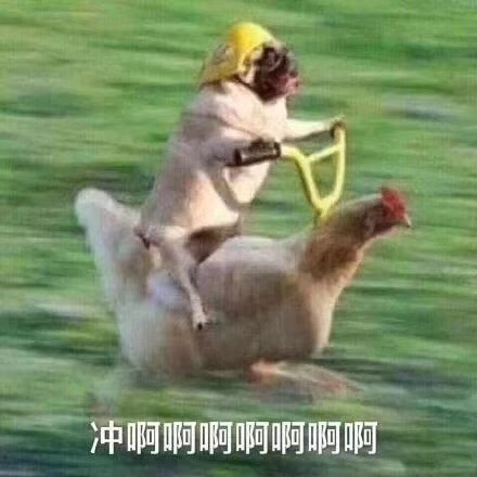 证券行业靠谱吗,证券行业好赚钱吗