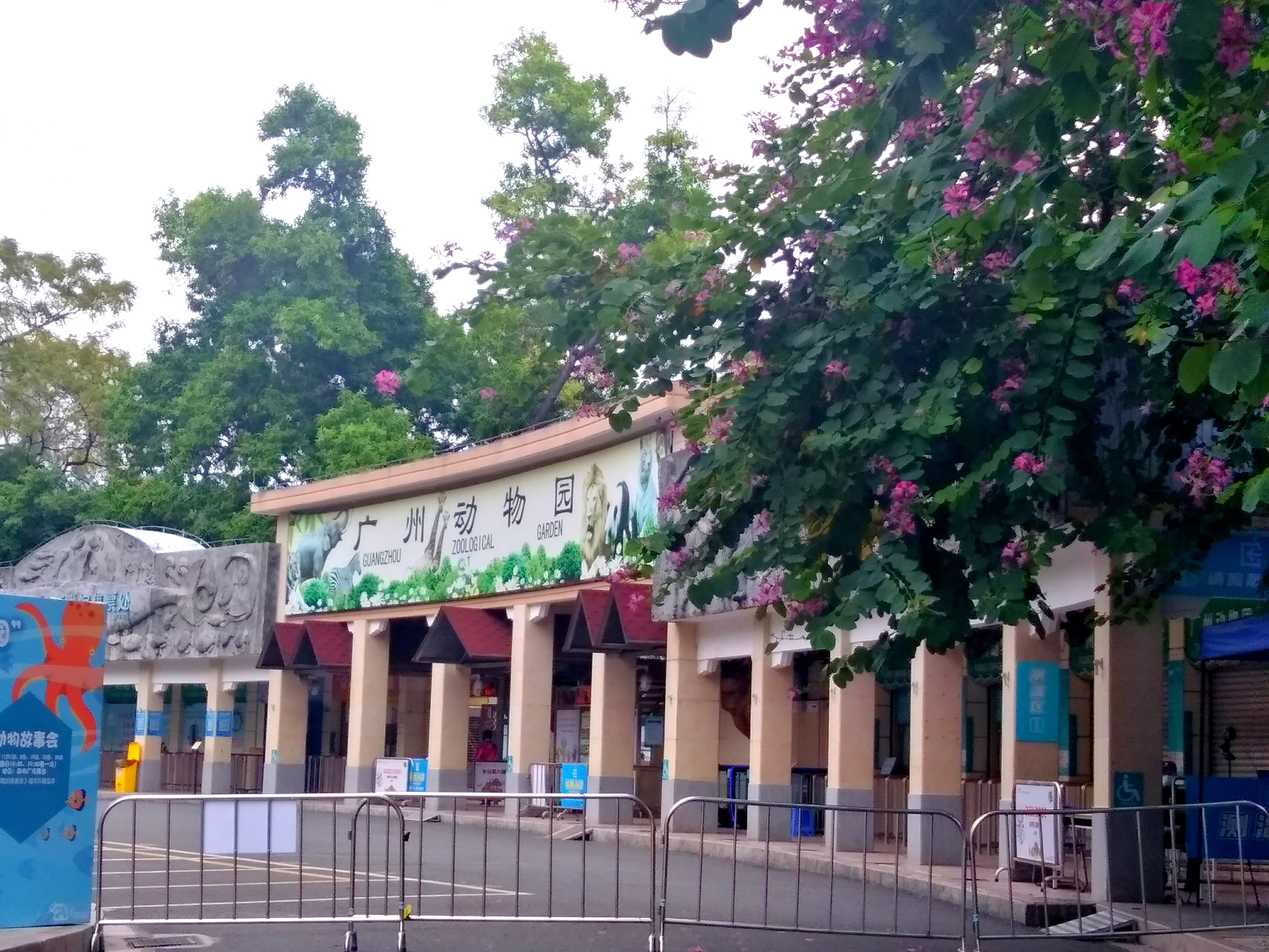 2022元旦广州有哪些好玩的地方,元旦广州哪里玩最合适