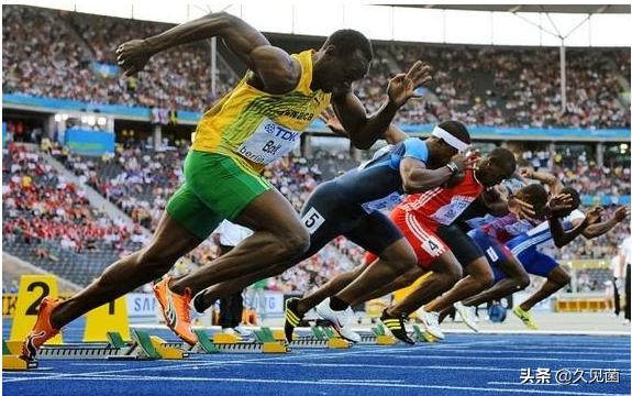 动物被蛇咬为什么不会死,狮子吃了被蛇咬的动物