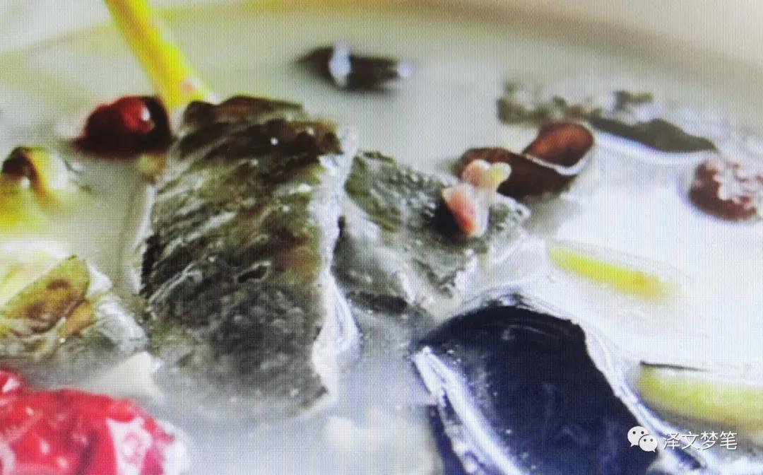 滋补珍品野生甲鱼,宝应哪里有野生甲鱼