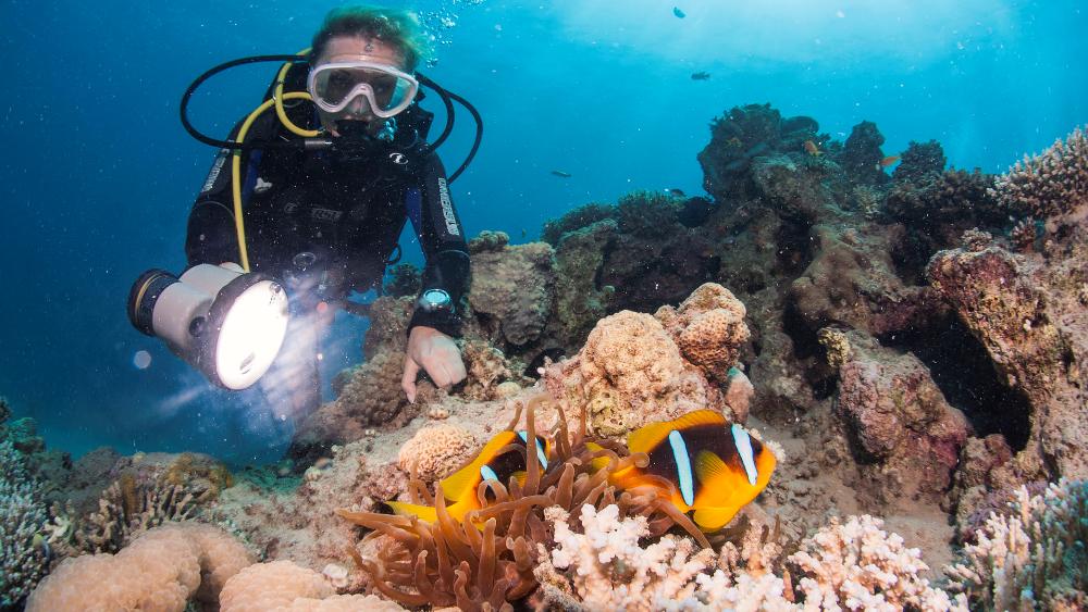 泰国四大潜水梦幻海岛,潜水游玩爱好者普吉岛
