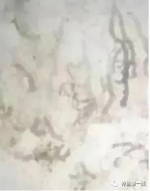 水产鱼鳃虫怎么治疗最好,鱼鳃霉病图片