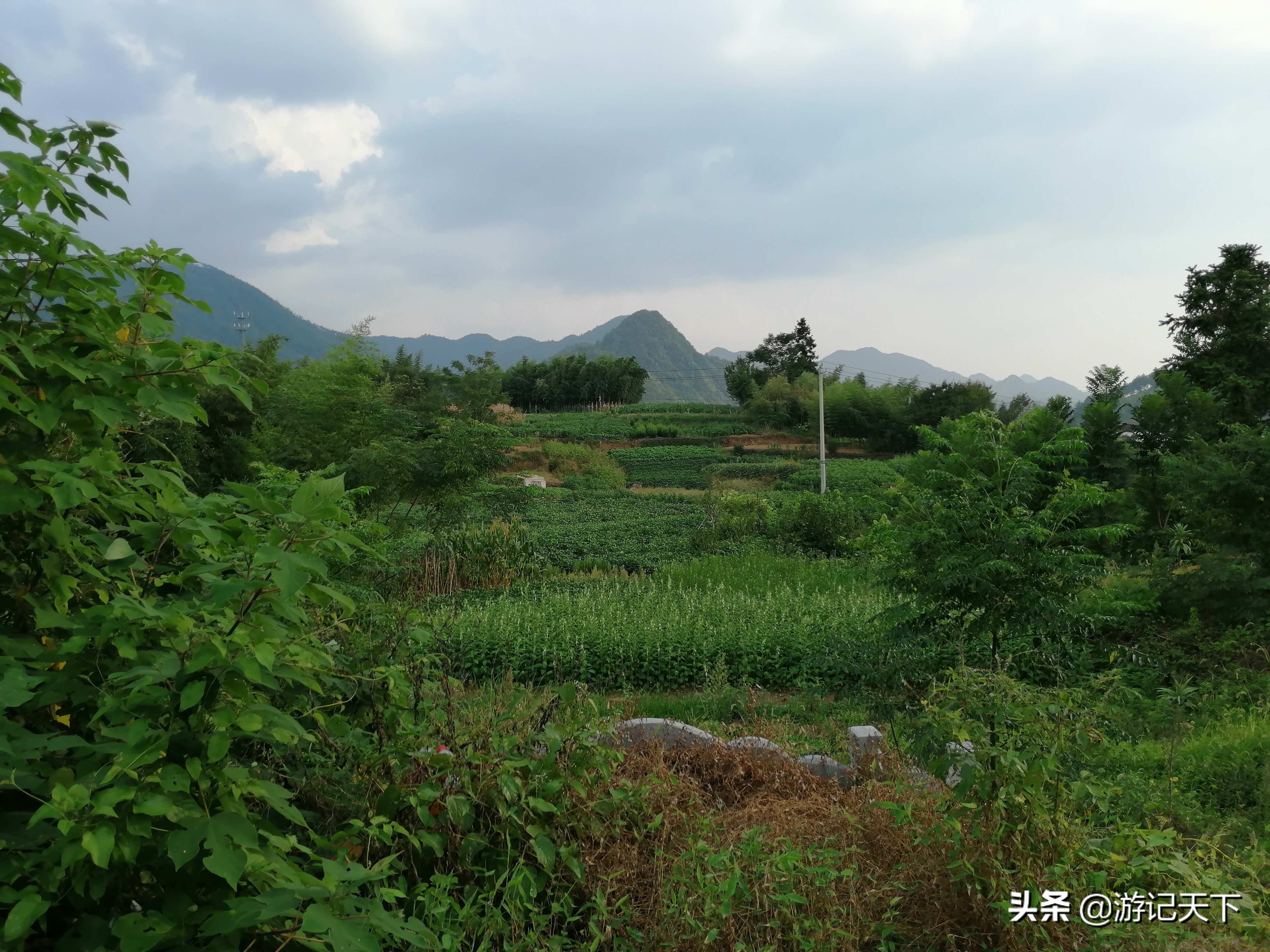 博导带我游龙川——阿尼亚房车伴我走天涯