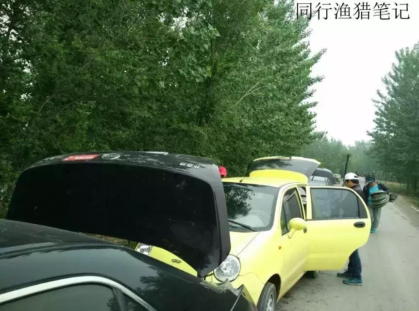 钓鱼记录2019,最新的钓鱼日记