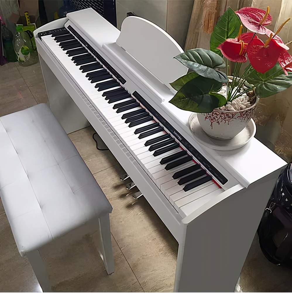 钢琴电子琴电钢琴哪个好学,钢琴电子琴电钢琴区别