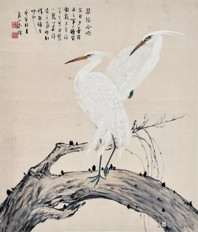 民国最美六大美人,民国才女气质美如兰