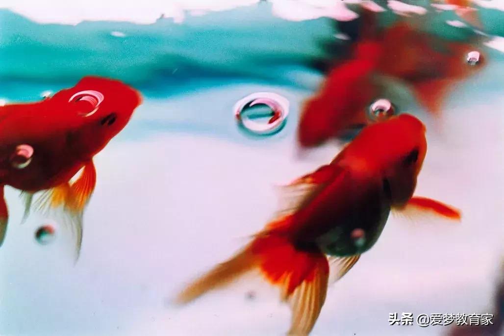 亚洲最狂野女导演,一年出3部新片,半个演艺圈为她站台