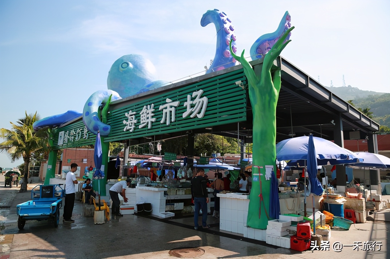 真实的外伶仃岛,广东外伶仃岛在哪里