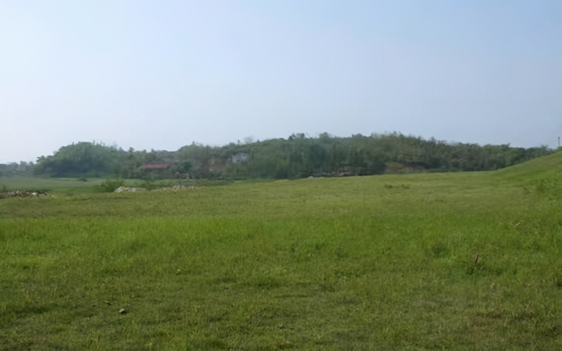 鏂囨梾妗f,宀抽槼鏂囨梾妗f2019