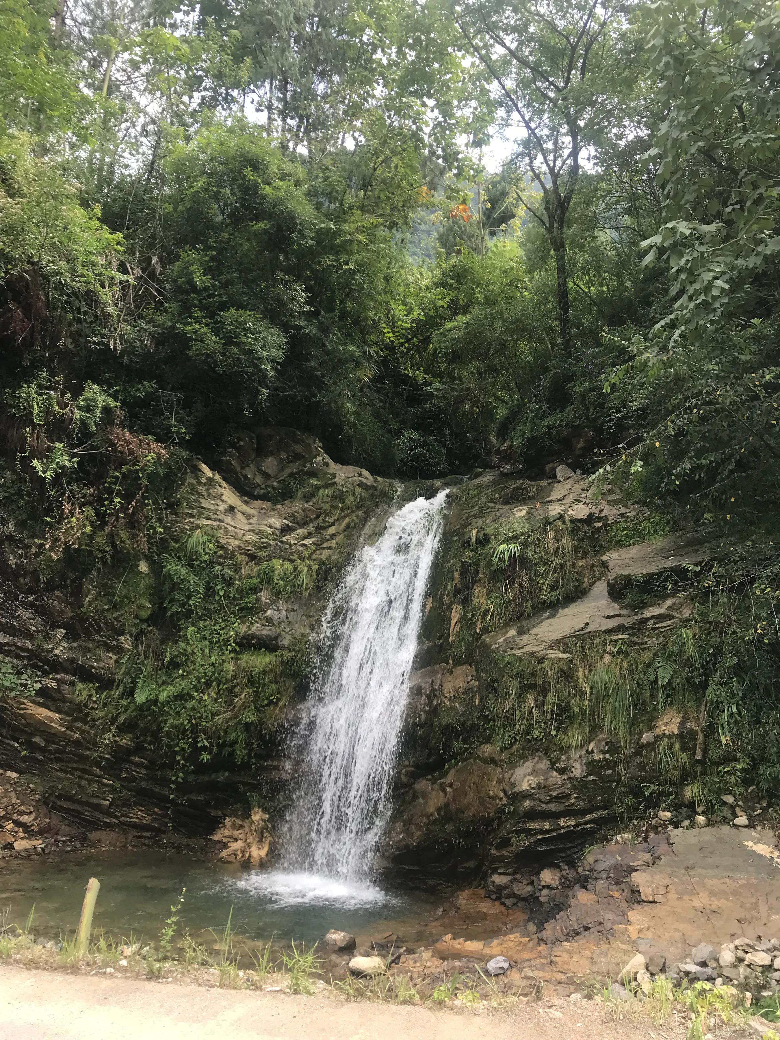 山远近路横斜读音,山远近路横斜青旗沽酒有人家意思