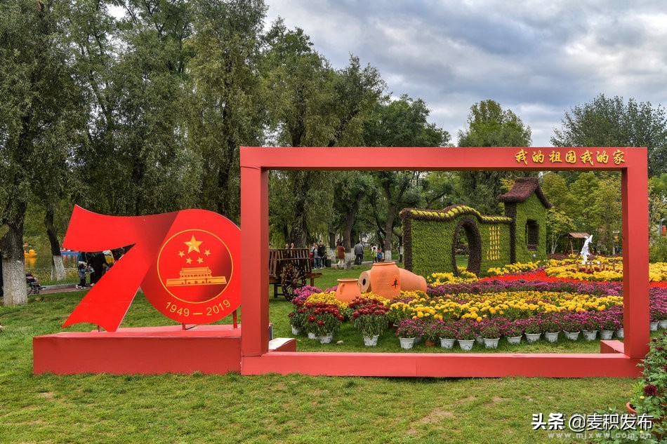 马跑泉公园有菊花展吗,庆祝菊花