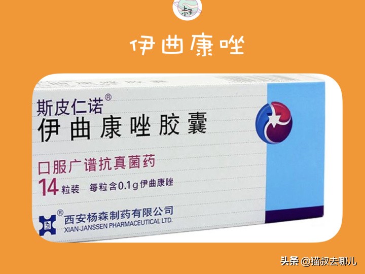 新手如何养猫防止猫癣复发,猫癣严重还想养猫应该做什么