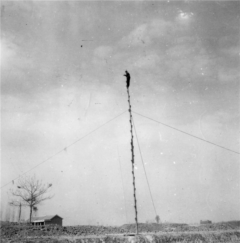 夏朝和二里头是什么,二里头和夏朝的关系