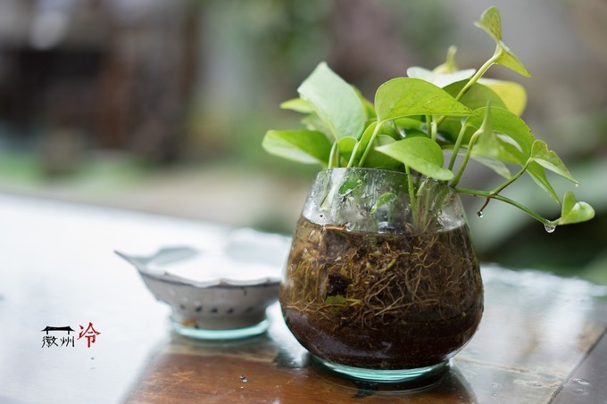 「徽州冷」宏村秋深晴少，友谊地久天