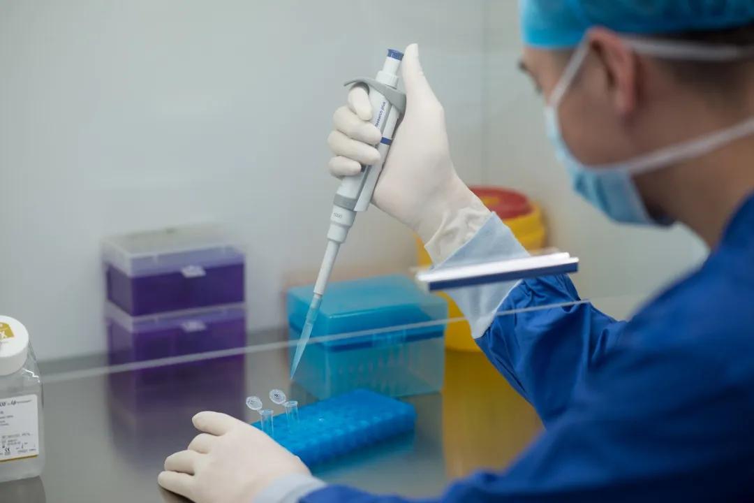 试管婴儿胚胎移植一次成功的几率,试管婴儿移植失败胚胎去哪里了