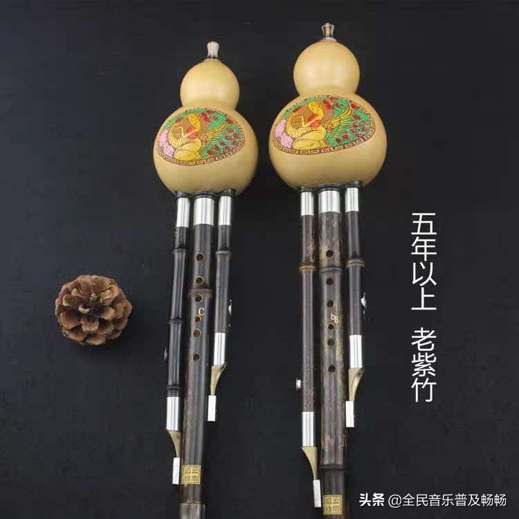 葫芦丝的简单介绍,葫芦丝的构造及工作原理
