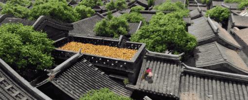 他不「卖肉」之后，还能不能行了？