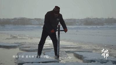 东北跑山是什么样子的,松花江采冰视频