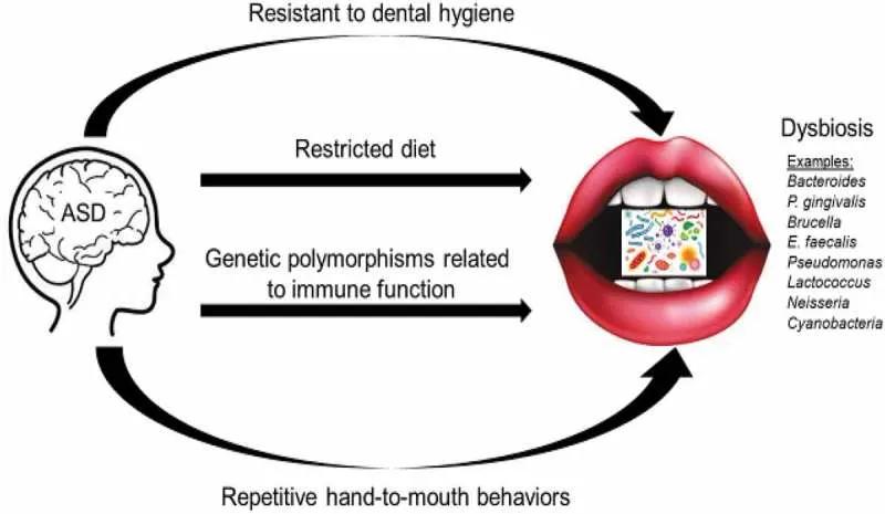自闭症的菌群治疗,让爱来抚慰自闭的孩子