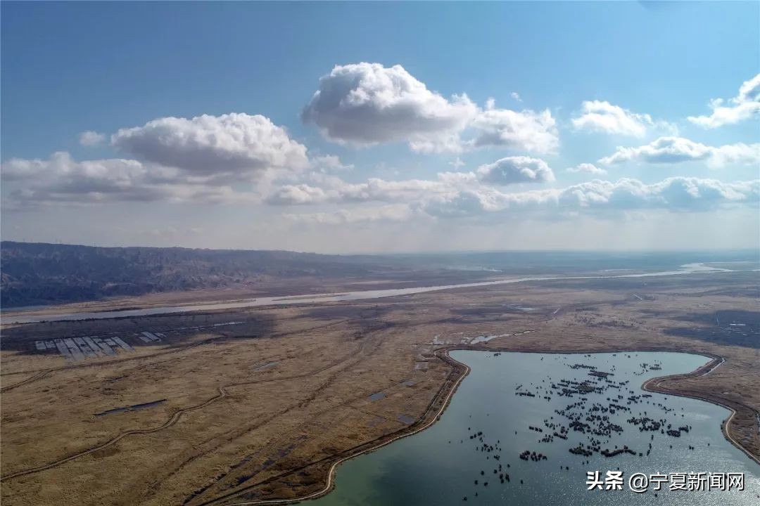 青铜峡鸟岛介绍,青铜峡鸟岛自然保护区能进吗