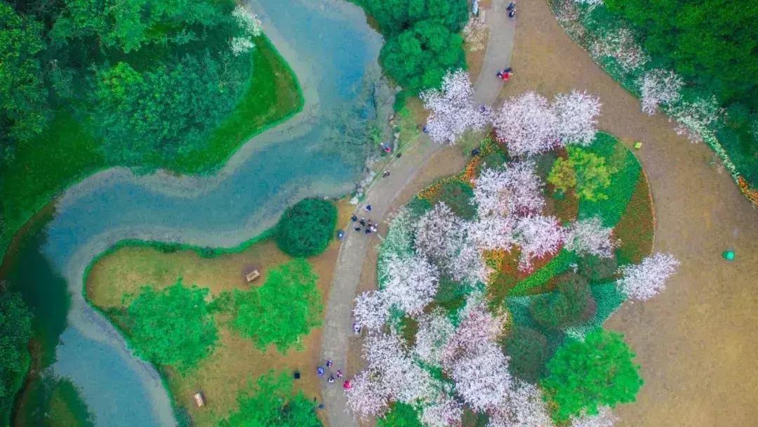 杭州浪漫约会攻略,杭州情侣冬季旅游攻略