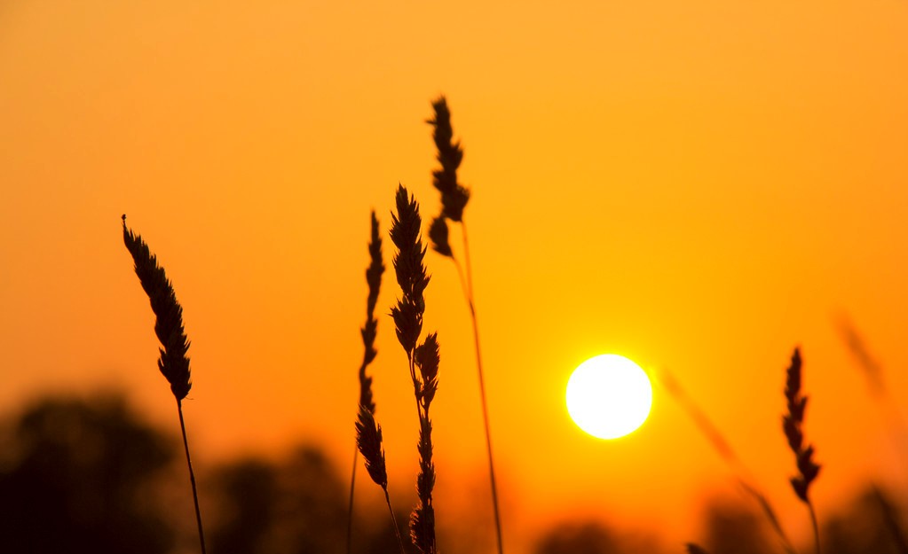 拼多多社交电商怎么投资,拼多多的社交电商风口