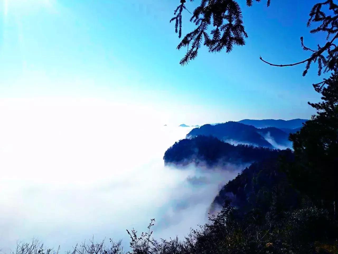 冬季视觉治愈系列!治好你的“冬天不想出门症”~